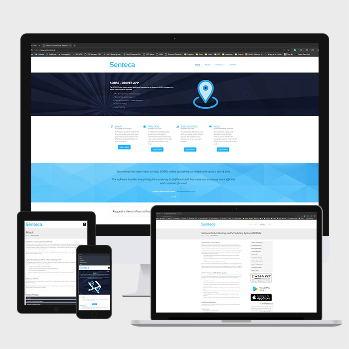 Display Mockups of Website